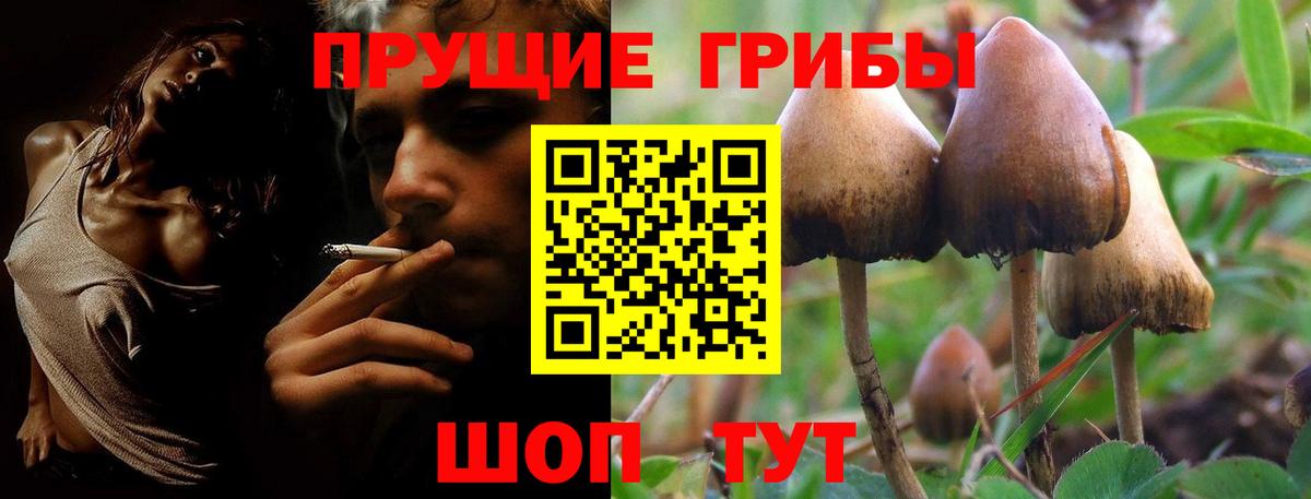 Галлюциногенные грибы GOLDEN TEACHER Черняховск